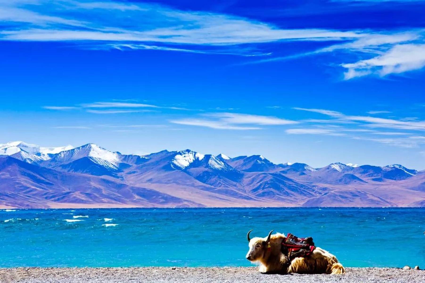 探寻神秘西藏的壮美风光