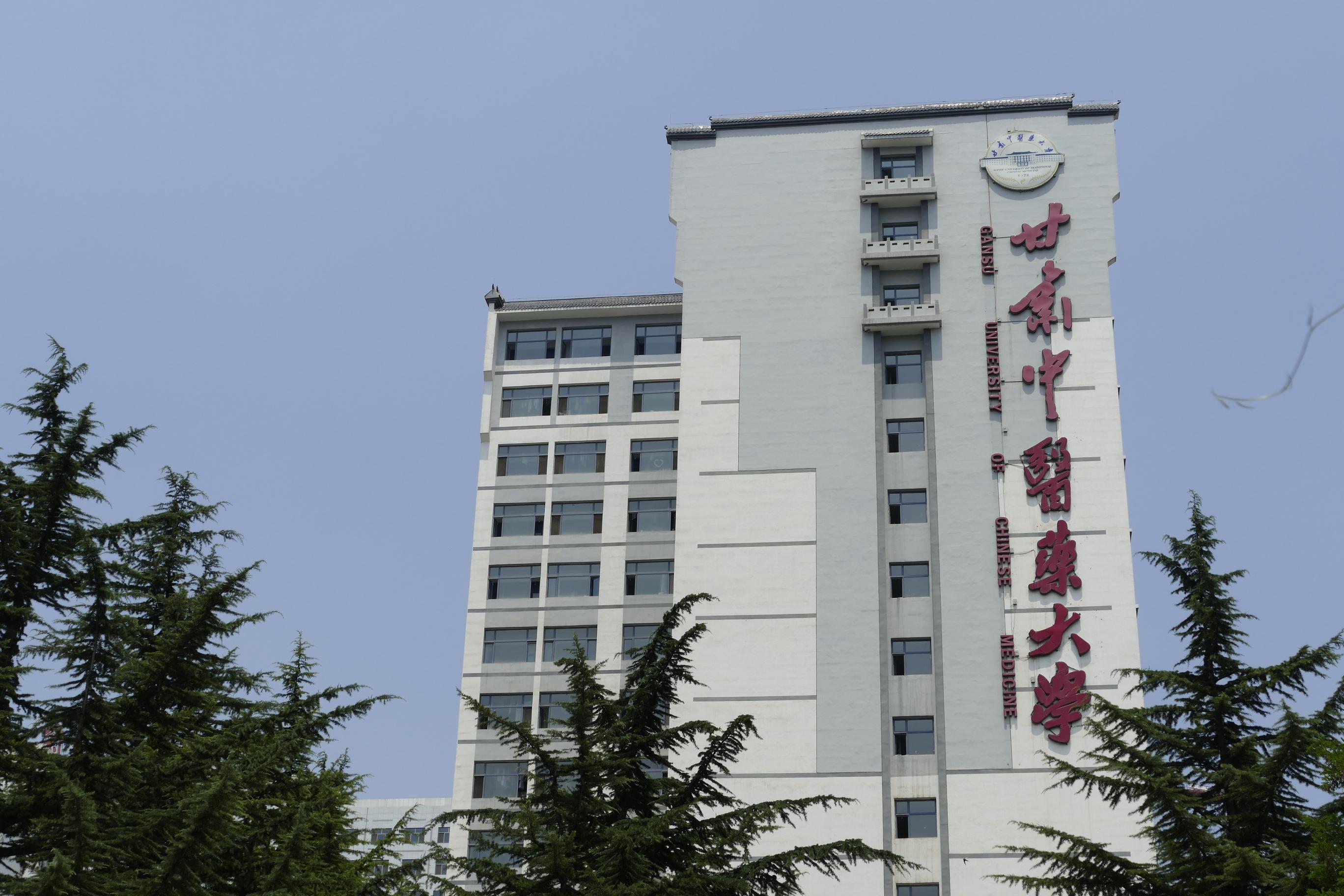 丝路千年情,甘肃浪漫邂逅之旅